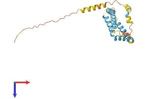 FUNDC2 Protein (AA 1-189) (His tag)