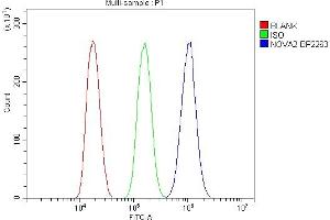 Flow Cytometry analysis of HEPA1-6 cells using anti-NOVA2 antibody (ABIN7599078).
