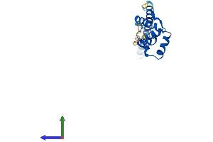 Protein Structure (PS) image for Leucine Zipper, Down-Regulated in Cancer 1 (LDOC1) (AA 1-151) protein (His tag) (ABIN7558256)