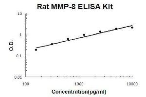 Rat MMP-8 PicoKine ELISA Kit standard curve (MMP8 ELISA Kit)