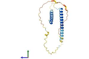 Protein Structure (PS) image for Chromosome 17 Open Reading Frame 49 (C17orf49) (AA 1-171) protein (His tag) (ABIN7561354)