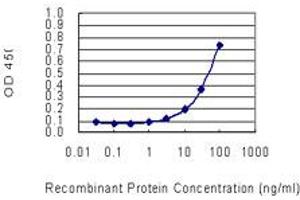 Detection limit for recombinant GST tagged SOCS2 is 1 ng/ml as a capture antibody. (SOCS2 Antikörper  (AA 99-198))