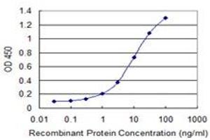 Detection limit for recombinant GST tagged GNL3 is 0. (Nucleostemin Antikörper  (AA 328-427))