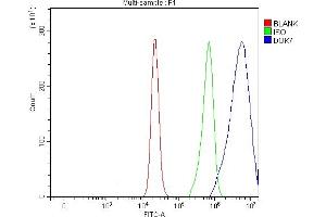 Flow Cytometry analysis of RT4 cells using anti-DOK7 antibody (ABIN6719428). (DOK7 Antikörper)