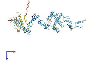 ZNF189 Protein (AA 1-626) (His tag)