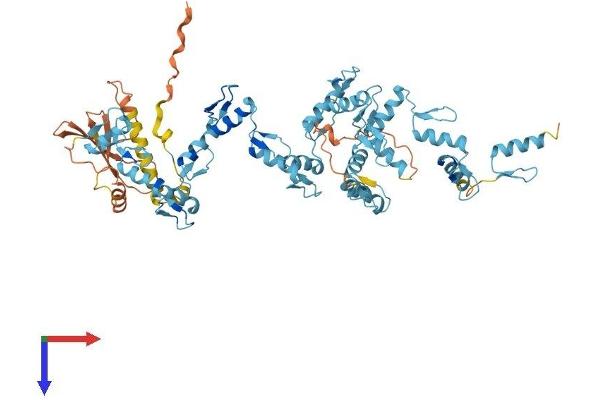 ZNF189 Protein (AA 1-626) (His tag)