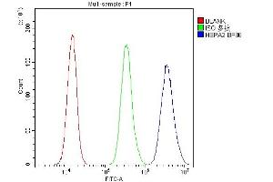 Flow Cytometry analysis of PC-3 cells using anti-HSPA2 antibody (ABIN3043850). (HSPA2 Antikörper  (C-Term))