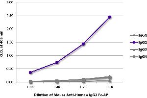 ELISA plate was coated with purified human IgG1, IgG2, IgG3, and IgG4. (Maus anti-Human IgG2 (Fc Region) Antikörper (Alkaline Phosphatase (AP)))