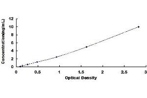 Typical standard curve (GCLM ELISA Kit)