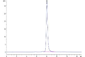 Size-exclusion chromatography-High Pressure Liquid Chromatography (SEC-HPLC) image for CUB Domain Containing Protein 1 (CDCP1) (AA 29-666) protein (His tag) (ABIN7274298)