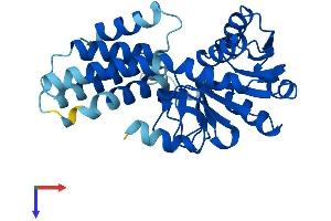 EIF2B1 Protein (AA 1-305) (His tag)