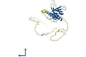 Protein Structure (PS) image for NECAP Endocytosis Associated 1 (NECAP1) (AA 1-275) protein (His tag) (ABIN7549713)