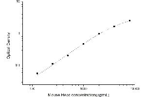 Hepcidin ELISA Kit