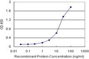 Sandwich ELISA detection sensitivity ranging from 0. (CALCOCO2 (Human) Matched Antibody Pair)
