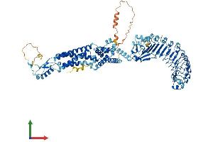 Protein Structure (PS) image for Leucine Rich Repeat Containing 8 Family, Member E (LRRC8E) (AA 1-796) protein (His tag) (ABIN7554473)