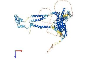 SEC63 Protein (AA 1-760) (His tag)