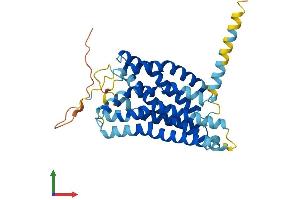 Protein Structure (PS) image for Purinergic Receptor P2Y, G-Protein Coupled, 10 (P2RY10) (AA 1-339) protein (His tag) (ABIN7550336)