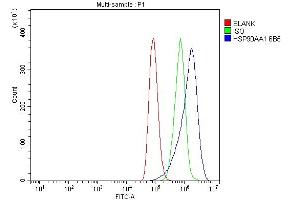 Flow Cytometry analysis of A549 cells using anti-Hsp90 alpha antibody (ABIN7602783).