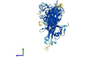 Protein Structure (PS) image for Calpain 6 (CAPN6) (AA 1-641) protein (His tag) (ABIN7552837)