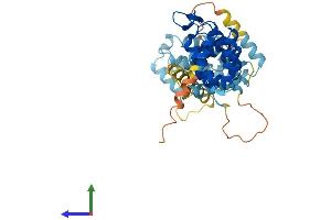 AlphaFold protein structure predicition of Human Recombinant FANCF Protein, UniprotID Q9NPI8