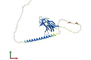 Protein Structure (PS) image for Tumor Necrosis Factor (Ligand) Superfamily, Member 13b (TNFSF13B) (AA 1-285) protein (His tag) (ABIN7555822)