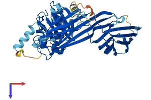 AP2M1 Protein (AA 1-435) (His tag)