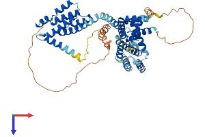 TCP11 Protein (AA 1-503) (His tag)