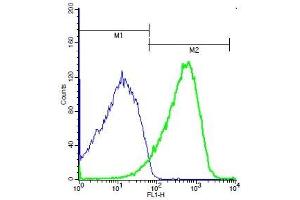 Flow Cytometry (FACS) image for anti-Tumor Necrosis Factor Receptor Superfamily, Member 10d, Decoy with Truncated Death Domain (TNFRSF10D) antibody (ABIN733088)