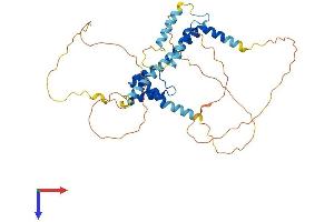 MEIS1 Protein (AA 1-390) (His tag)