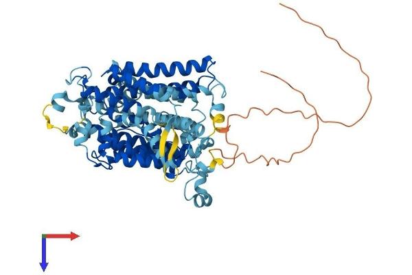 SLC23A1 Protein (AA 1-605) (His tag)