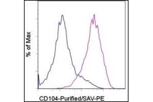 Flow Cytometry (FACS) image for anti-Integrin beta 4 (ITGB4) antibody (ABIN614431) (Integrin beta 4 Antikörper)