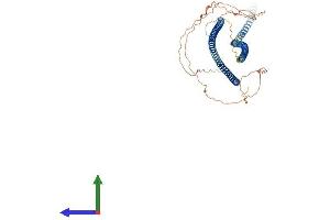 Protein Structure (PS) image for Keratin 6A (KRT6A) (AA 1-553) protein (His tag) (ABIN7563361)