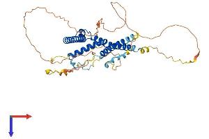 SUPT7L Protein (AA 1-414) (His tag)