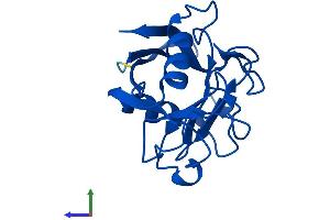 AlphaFold protein structure predicition of Human Recombinant PPIAL4E Protein, UniprotID A0A075B759