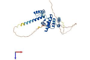 SIX Homeobox 1 Protein (SIX1) (AA 1-284) (His tag)