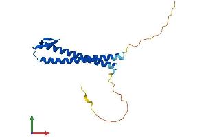 Protein Structure (PS) image for Prefoldin Subunit 2 (PFDN2) (AA 1-154) protein (His tag) (ABIN7550644)