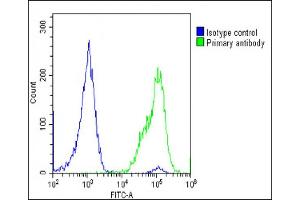 Overlay histogram showing U-2 OS cells stained with (ABIN651298 and ABIN2840176)(green line). (Adiponectin Receptor 2 Antikörper  (AA 45-72))