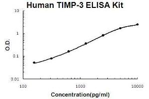 Human TIMP-3 PicoKine ELISA Kit standard curve