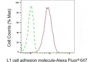 Flow cytometric analysis of L1 cell adhesion molecule expression in HepG2 cells using L1 cell adhesion molecule antibody (ABIN7799217), 1:2,000). (L1CAM Antikörper)