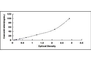 ELISA image for Peptidyl Arginine Deiminase, Type II (PADI2) ELISA Kit (ABIN421284)
