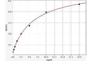 Typical standard curve (CAMK2B ELISA Kit)