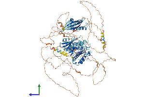 Protein Structure (PS) image for Ribosomal Protein S6 Kinase, 52kDa, Polypeptide 1 (RPS6KC1) (AA 1-1066) protein (His tag) (ABIN7554395)