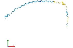 AlphaFold protein structure predicition of Mouse Recombinant Sprr2g Protein, UniprotID O70558