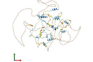 AlphaFold protein structure predicition of Mouse Recombinant Cast Protein, UniprotID P51125