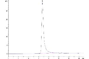 The purity of Human CD4 is greater than 95 % as determined by SEC-HPLC