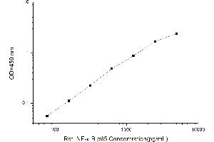 Nuclear Factor-kB p65 (NFkBP65) ELISA Kit