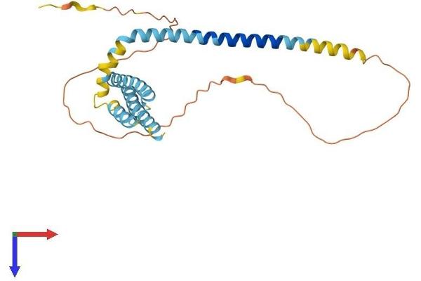 REEP3 Protein (AA 1-255) (His tag)