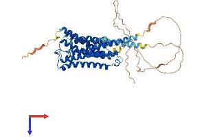 CHRM1 Protein (AA 1-460) (His tag)
