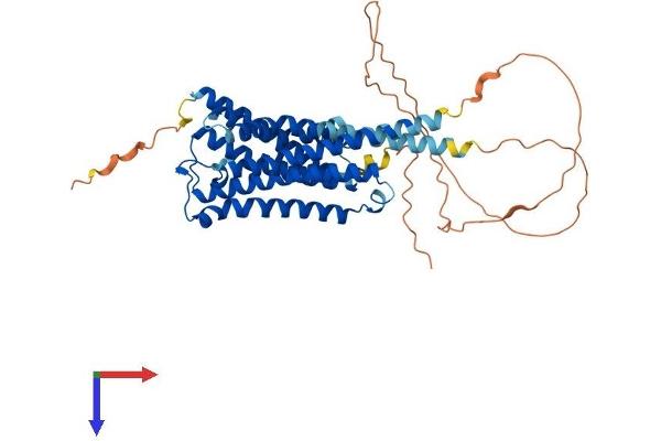 CHRM1 Protein (AA 1-460) (His tag)