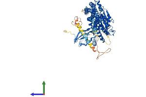 Protein Structure (PS) image for Inhibitor of kappa Light Polypeptide Gene Enhancer in B-Cells, Kinase beta (IKBKB) (AA 1-756) protein (His tag) (ABIN7554165)